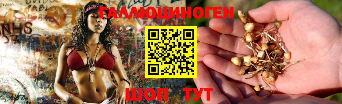 Видное  Галлюциногенные грибы ЛСД  цена   Вход с VPN 